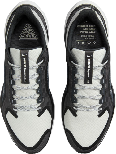 Tenisky a topánky Nike Pegasus 41 GORE-TEX Čierna | fq1356-002, 2
