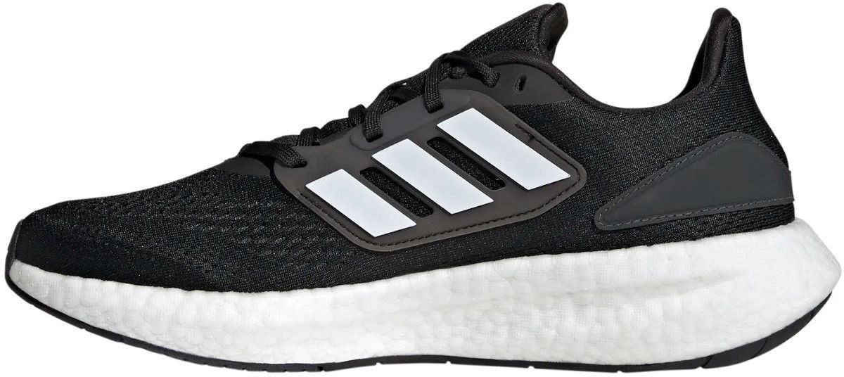 Pureboost 22