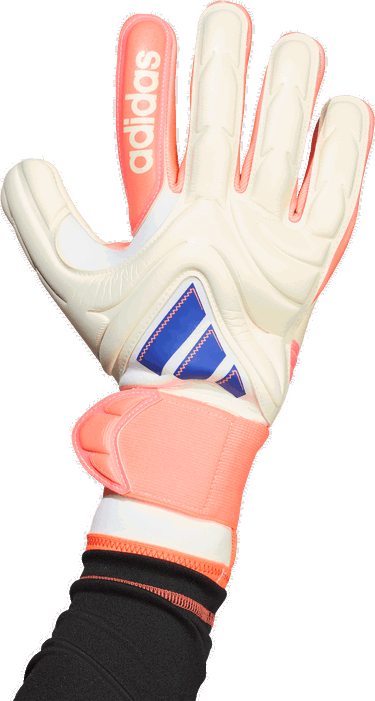Rukavice adidas Originals Copa Pro Promo Goalkeeper Gloves Rôznofarebný | jn5338, 5