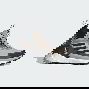 Tenisky a topánky adidas Performance adidas TERREX FREE HIKER 2.0 GORE-TEX Béžová | IE5128, 0