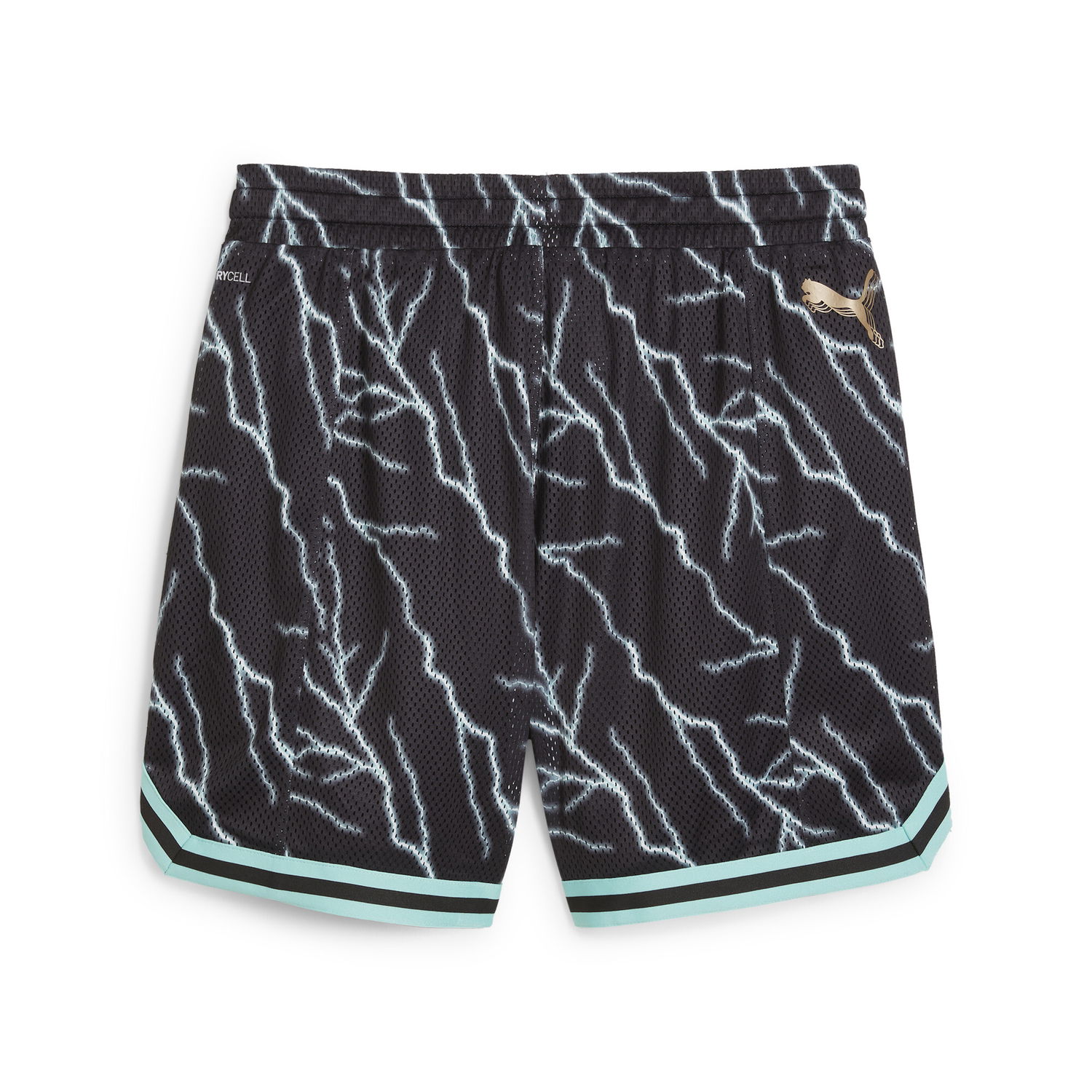 Šortky Puma PUMA HOOPS x HARRY POTTER Basketball Shorts Čierna | 627811_01, 1