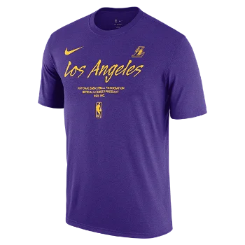 Nike NBA Los Angeles Lakers Essential FJ0282-504