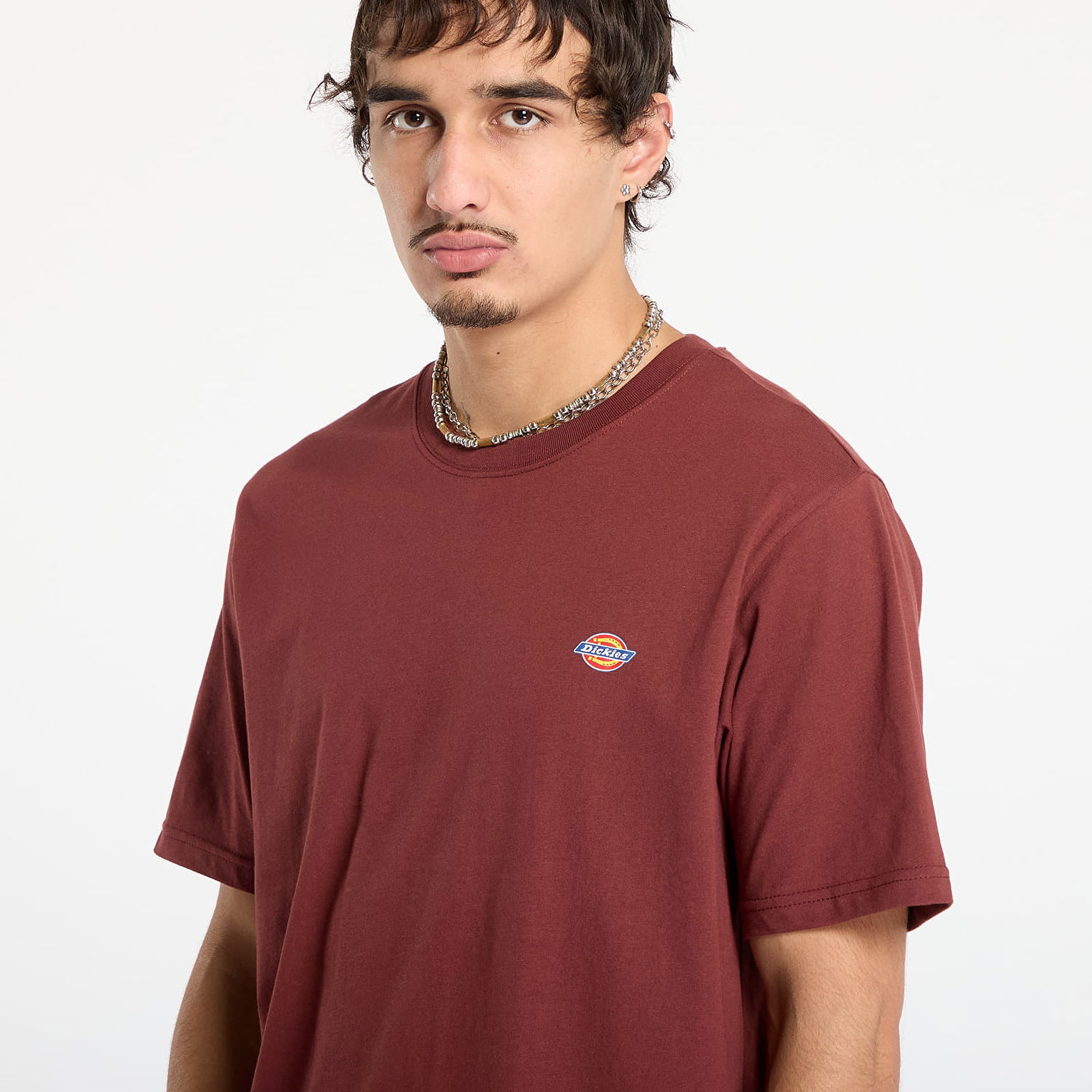 Tričko Dickies Short Sleeve T-Shirt Mapleton Vínová | DK0A4XDBL161, 1