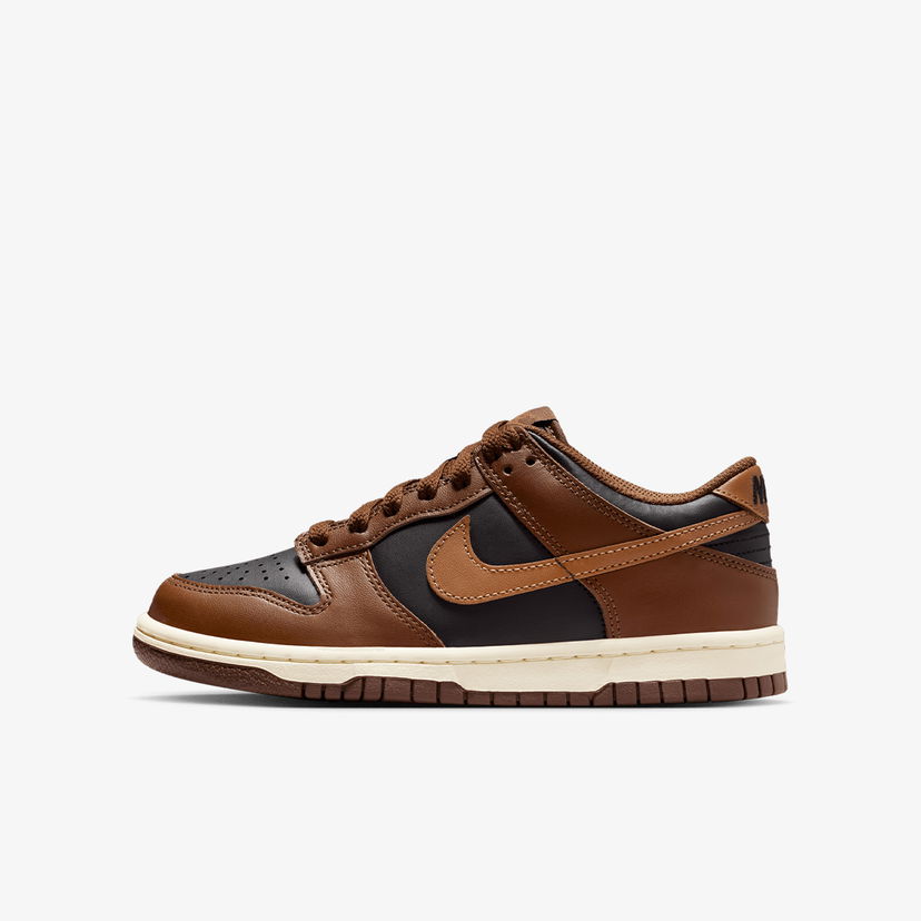 Tenisky a topánky Nike Dunk Low Hnedá | FB9109-006
