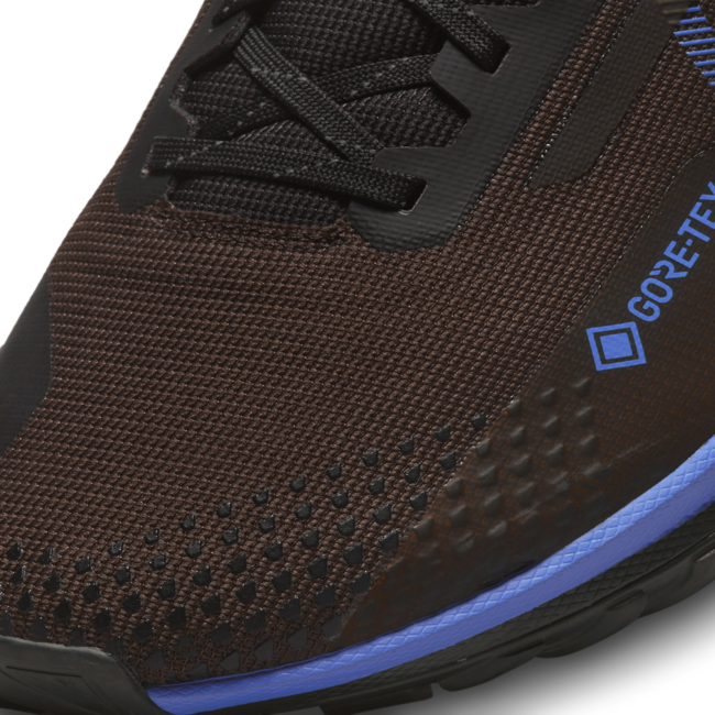 Tenisky a topánky Nike React Pegasus Trail 4 GORE-TEX Čierna | FB2193-200, 1