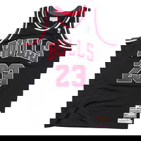 NBA Michael Jordan Chicago Bulls 1997-98 Authentic Jersey