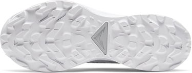 Tenisky a topánky Nike Pegasus Trail 2 GTX Šedá | dc1933-100, 1