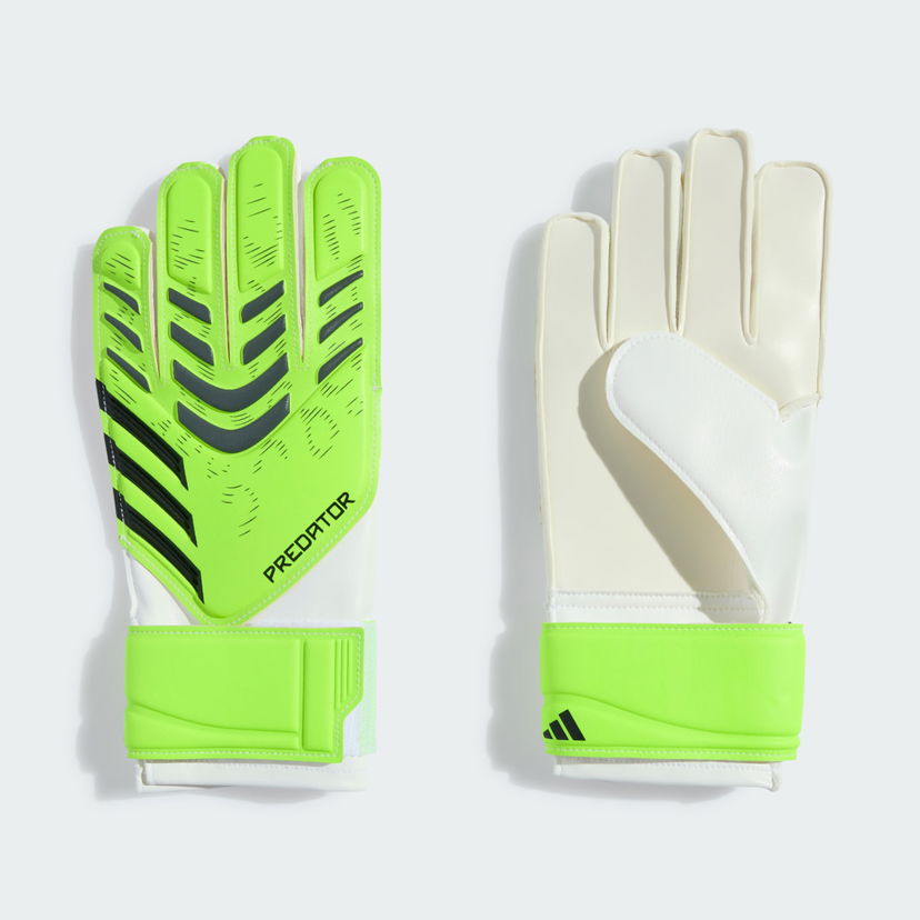 Rukavice adidas Performance Predator Training Goalkeeper Gloves Zelené | JN5362