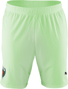 Füchse Berlin Team Shorts 2024/2025