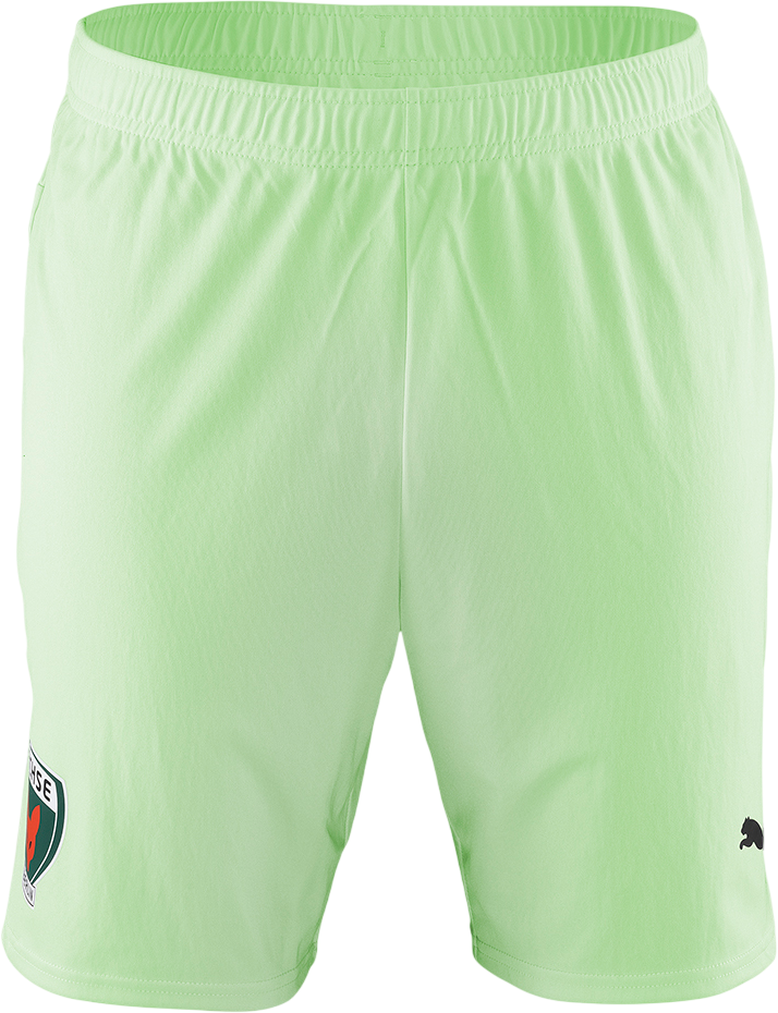 Šortky Puma Füchse Berlin Team Shorts 2024/2025 Zelené | 705752fux-60, 0