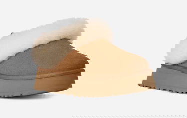Tenisky a topánky UGG Tazzelle Slippers Hnedá | 1171393-CHE, 1