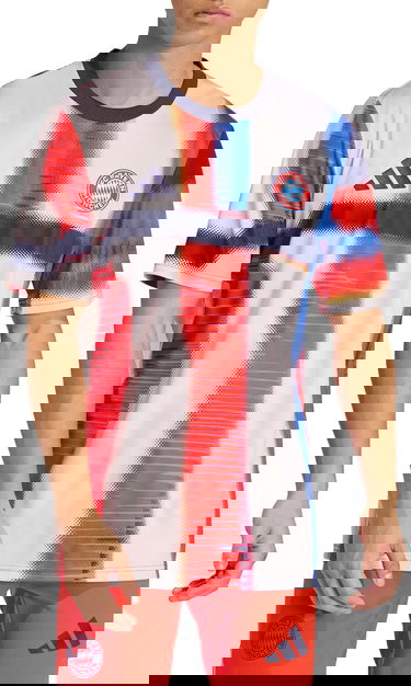 Dres adidas Originals FC Bayern Pre-Match 2025/26 Abstract Graphic T-Shirt Rôznofarebný | jz6260, 2