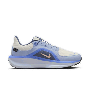 Tenisky a topánky Nike Winflo 11 GORE-TEX Modrá | FQ1359-002, 2