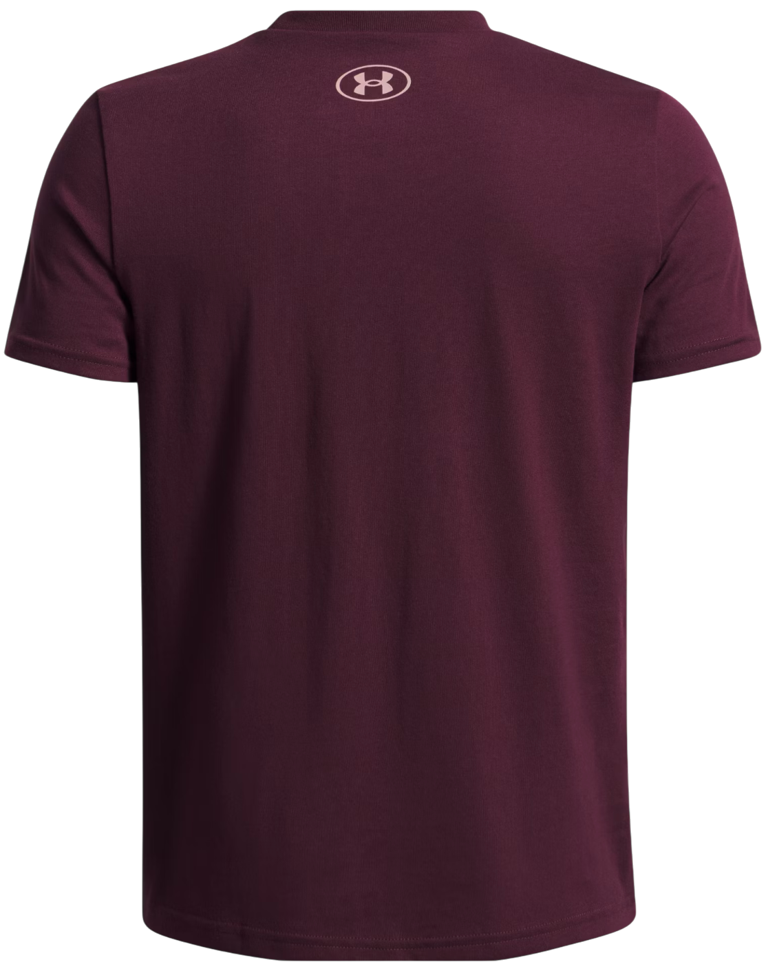 Tričko Under Armour Logo Wordmark Short Sleeve T-Shirt Vínová | 1389963-600, 1