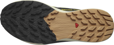 Tenisky a topánky Salomon SENSE RIDE 5 Žltá | l47458400, 2