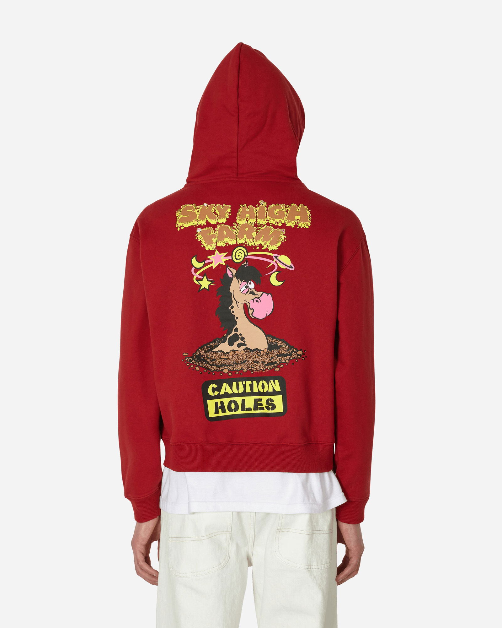Flatbush Printed Zipped Hooded Sweatshirt