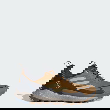Tenisky a topánky adidas Performance Terrex Free Hiker 2.0 Low Gore-Tex Hnedá | JP5611, 0