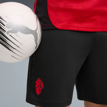 Šortky Puma AC Milan Training Shorts with Pockets 2025/26 Čierna | 782370-04, 2
