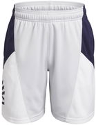 Under Armour Curry Boys' Splash Shorts