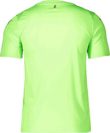 Dres Puma 1. FC Heidenheim Goalkeeper Jersey 2025/26 by Puma Zelené | 5fch706280-20, 1