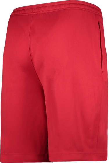 Šortky Nike Nike Strike22 Shorts Červená | dh9363-687, 1