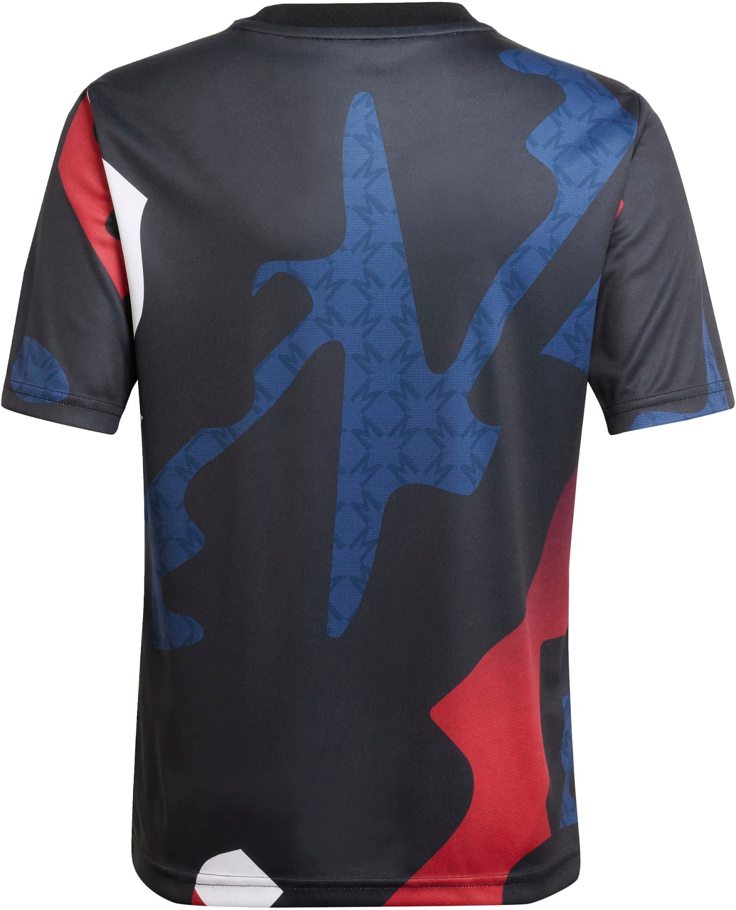 Dres adidas Performance Manchester United 24/25 Pre-Match Jersey Rôznofarebný | JD7146, 1