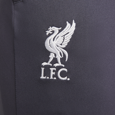Legíny Nike Dri-FIT Liverpool FC Strike Šedá | FN7322-015, 2