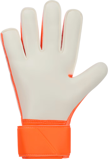 Rukavice Nike Match Goalkeeper Gloves Rôznofarebný | hq0257-830, 1