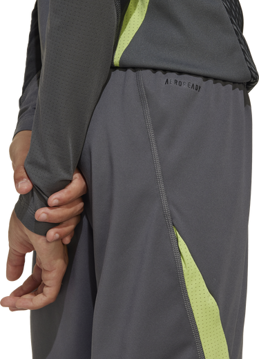 Šortky adidas Originals Tiro 25 Pro Goalkeeper Shorts Šedá | jn2025, 1