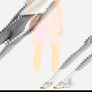 Šortky Nike Project F.R.O.G. Woven Shorts Hnedá | HJ6944-204, 3