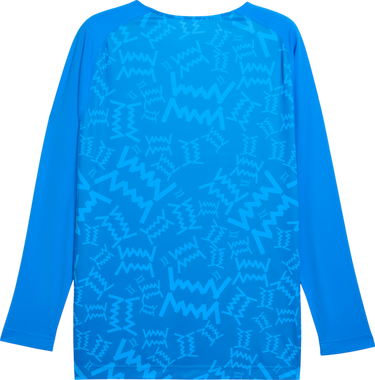 Dres Puma Teamjaws Graphic Long Sleeve Shooting Shirt Modrá | 688450-07, 1