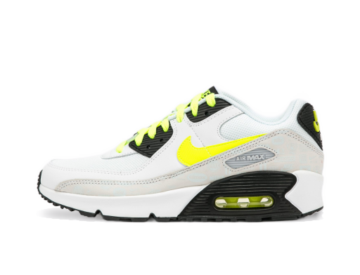 Tenisky a topánky Nike Air Max 90 Leather GS Biela | CD6864-112