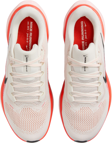 Tenisky a topánky Nike Pegasus 41 Béžová | fd2723-011, 2