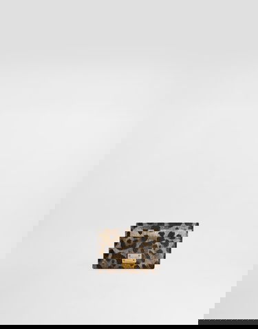 Peňaženka Dolce & Gabbana Dauphine Leopard Print Card Holder With Plate Rôznofarebný | BI0330AX566HY13M, 0