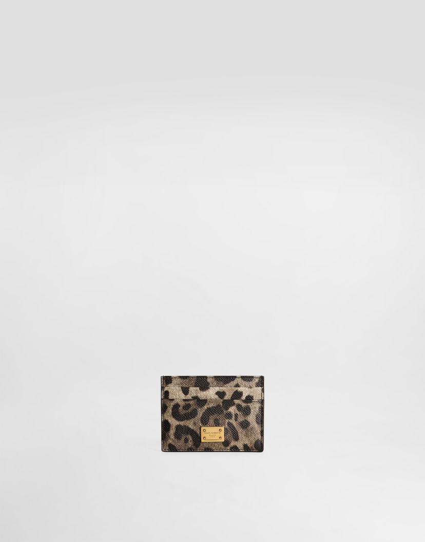 Peňaženka Dolce & Gabbana Dauphine Leopard Print Card Holder With Plate Rôznofarebný | BI0330AX566HY13M
