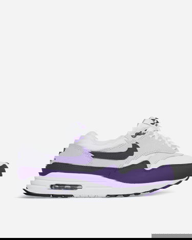 Tenisky a topánky Nike Air Max 1 Field Purple Fialová | DZ4549-101, 1