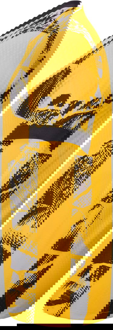 Dres Nike INTER MNK DFADV JSYSS MATCH 3R 2024/25 Žltá | fz6278-741, 2