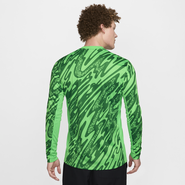 Dres Nike Dri-FIT Netherlands Stadium 2024/25 Zelené | FJ4290-329, 4