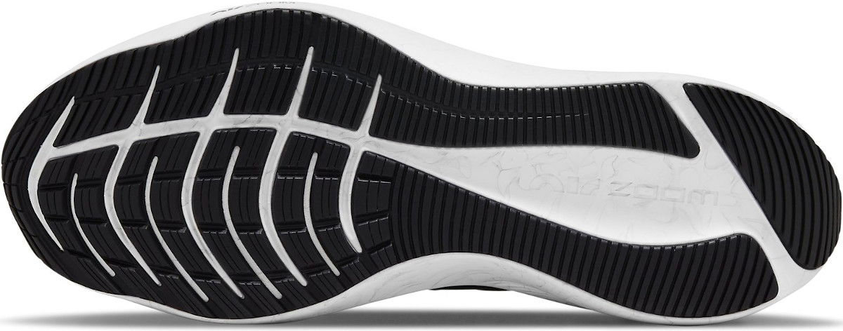 Tenisky a topánky Nike Air Zoom Winflo 8 Čierna | cw3419-009, 1