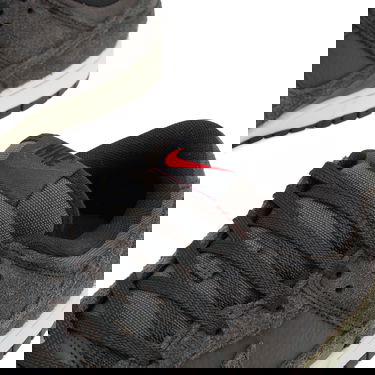 Tenisky a topánky Nike Dunk Low Šedá | HF3145-001, 3