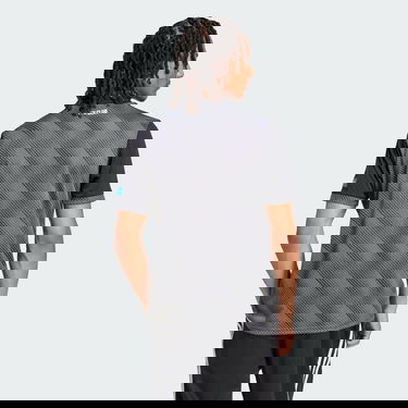 Dres adidas Performance FC Nürnberg 24/25 Third Jersey Šedá | JJ9995, 2