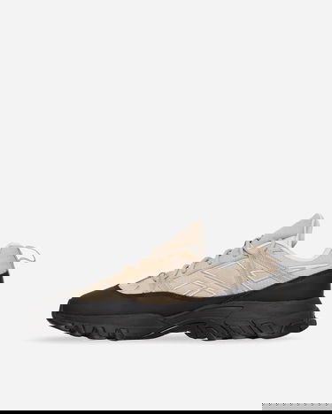 Tenisky a topánky Reebok DMX Trail Shadow "Modern Beige" Šedá | GY1923, 2