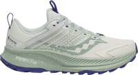 Saucony RIDE TR2 GTX