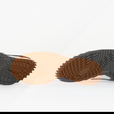 Tenisky a topánky Nike Dunk Low Hnedá | IM6572-101, 1