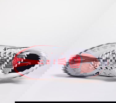 Tenisky a topánky Nike W Air Vapormax 360 Šedá | CK2719-001, 2