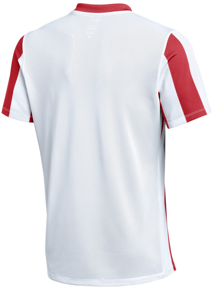 Dres Nike Nike Striped Division V Jersey Červená | fz9337-104, 1