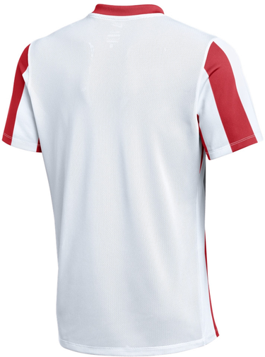 Dres Nike Nike Striped Division V Jersey Červená | fz9337-104, 1