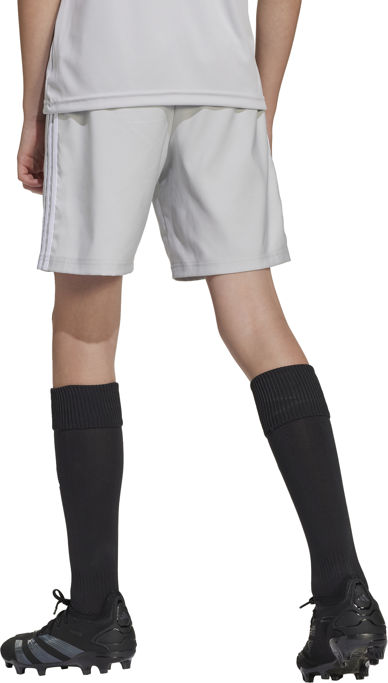Šortky adidas Originals Tastigo 25 Shorts Šedá | jn7175, 1