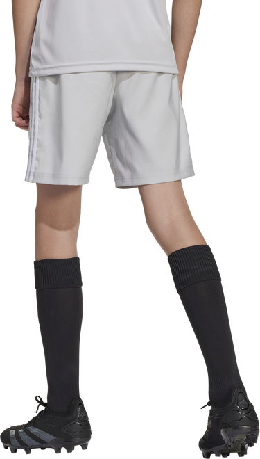 Šortky adidas Originals Tastigo 25 Shorts Šedá | jn7175, 1