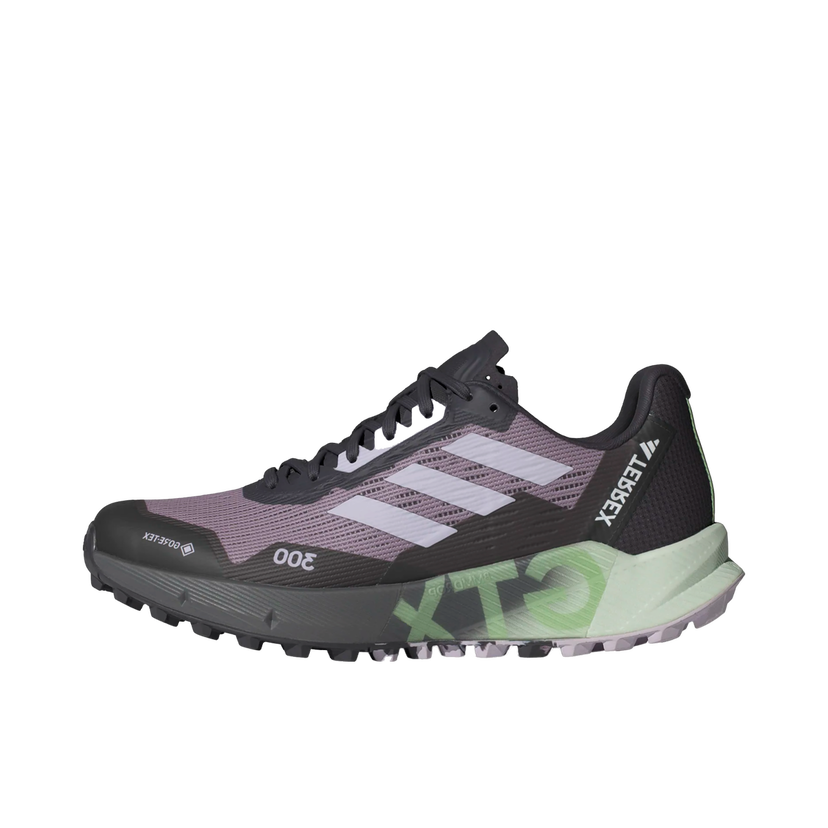 Tenisky a topánky adidas Performance adidas Terrex TERREX AGRAVIC FLOW 2 GTX W Fialová | id2501